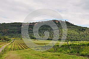 Tuscany Grosetto hilltown with vineyards photo