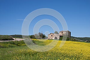 Tuscany Hills with a farm in a yellow field