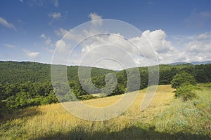 Tuscany hills and meadows summer season