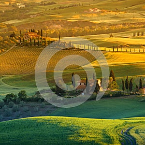 Tuscany - Italy photo