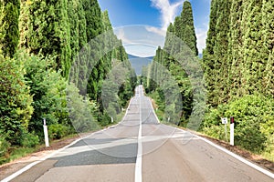 Tuscany, Italy. Asphalt line in nature, panoramic road to travel destination