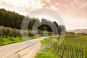 Tuscany, Italy, famous State Chianty Road 222 or a Chiantigiana Strada del Vino