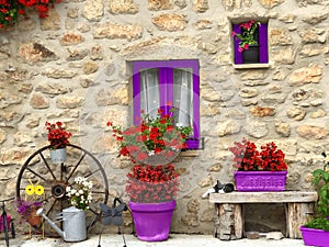 Tuscany, Italy, Picturesque scene with geranium flowers, sleeping cat and old stone wall