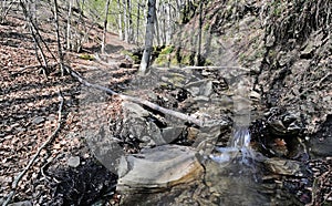 Mountain stream in Casentino Park photo