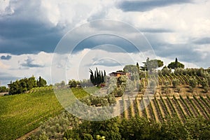 Tuscany Landscape