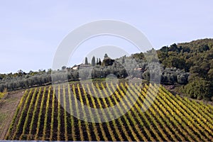 Tuscany landscape