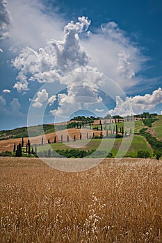 Tuscany Landscape