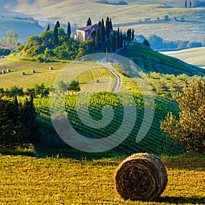 Tuscany, Landscape