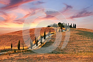 Tuscany Landscape