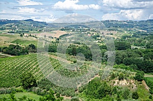 Tuscany landscape, agriculture, grape and olive fields