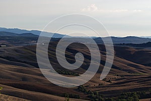 Tuscany landscape around Siena in the early morning