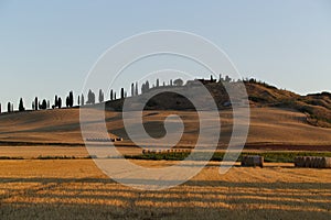 Tuscany landscape around Siena in the early morning