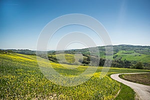 Tuscany landscape countryside field nature italy