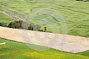 Tuscany landscape