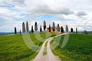 Tuscany landscape with cypresses and road, Italy