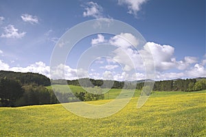 Tuscany landscape fields and hills in summer