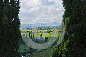 Tuscany landscape framed by two huge cypress trees, near San Gimignano