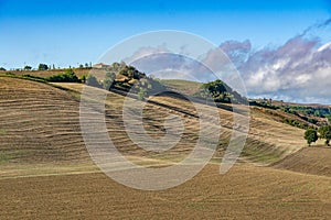 Tuscany landscape at gentle sunrise light. Italy, Europe