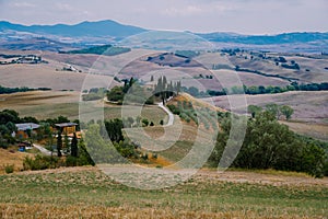Tuscany landscape with grain fields, cypress trees and houses on the hills at sunset. Summer rural landscape with curved