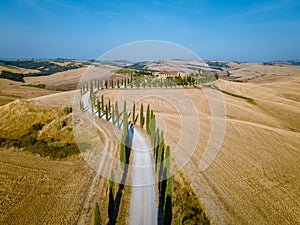 Tuscany landscape with grain fields, cypress trees and houses on the hills at sunset. Summer rural landscape with curved