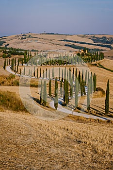 Tuscany landscape with grain fields, cypress trees and houses on the hills at sunset. Summer rural landscape with curved