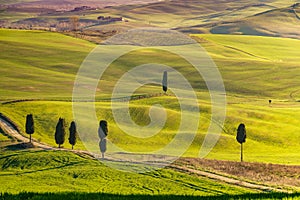 Tuscany landscape. Green hills of Val d`Orcia