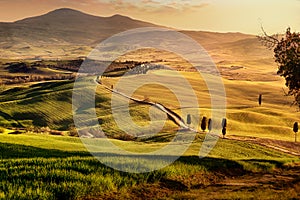 Tuscany landscape. Green hills of Val d`Orcia at sunset