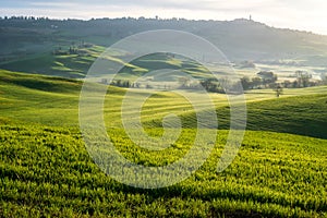 Tuscany landscape with green rolling hills