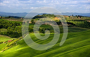 Tuscany landscape with green rolling hills in spring time ,agriculture crop  and farming house
