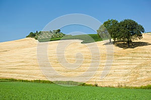 Tuscany landscape about meadow and hills, with winery.