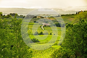 Tuscany landscape near San Gimignano, Italy