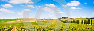 Tuscany landscape panorama with vineyard in the Chianti region, Tuscany, Italy photo