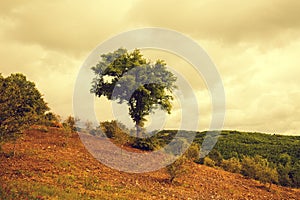 Tuscany landscape in rainy weathe