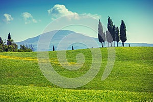 Tuscany landscape in spring. Grassed rolling fields on the hills