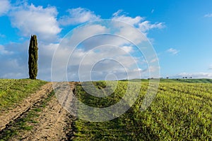 Tuscany landscape in spring, Orcia Valley, Italy