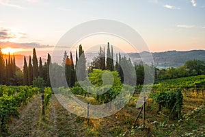 tuscany landscape at sunrise