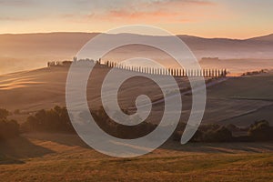 Tuscany landscape at sunrise. Typical for the region tuscan farmhouse, hills, vineyard. Italy Fresh Green tuscany landscape