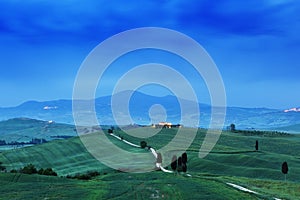 Tuscany landscape at sunrise. Typical for the region tuscan farmhouse, hills, vineyard. Italy Fresh Green tuscany landscape.