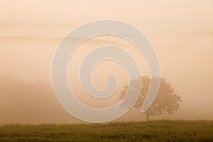 Tuscany landscape at sunrise. Typical for the region tuscan farmhouse, hills, vineyard. Italy Fresh Green tuscany landscape.