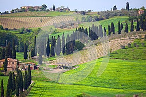 Tuscany landscape - Val D`Orcia