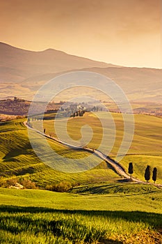 Tuscany landscape. Val d`Orcia at sunset