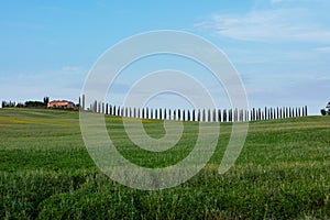 Tuscany. Landscape view, hills and meadow, Italy