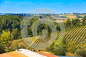 Tuscany landscape with vineyards rows, Italy