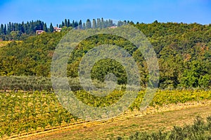 Tuscany landscape with vineyards rows, Italy