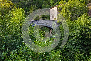 Tuscany medieval village on forest photo