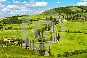 Tuscany road with cypress trees, Val d'Orcia, Italy