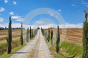 Tuscany: the road to Torre a Castello photo