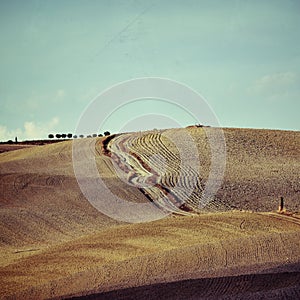 Tuscany rural landscape