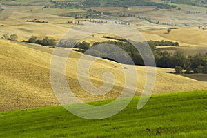 Tuscany rural landscape