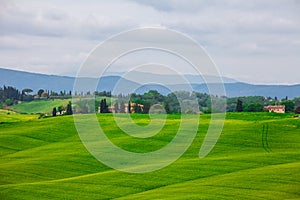 Tuscany, rural landscape